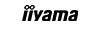 Iiyama