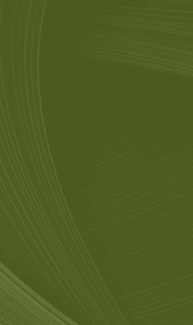 Dynamic View