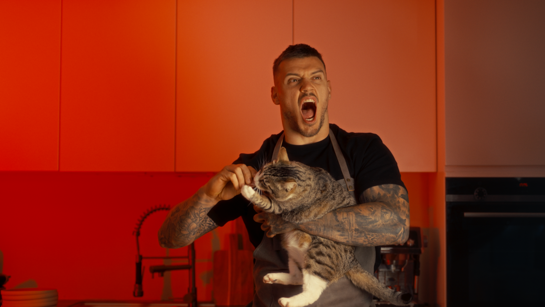 Dylan VS Minou00102870